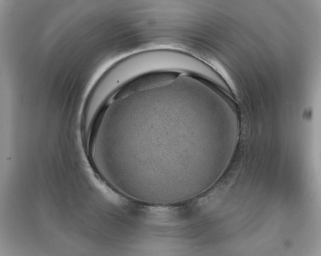X0000091211132200708091342
