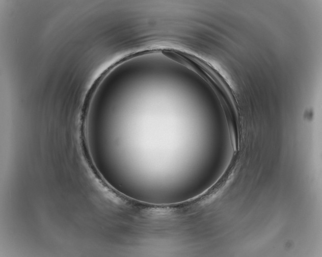 X0000091211134200708091342