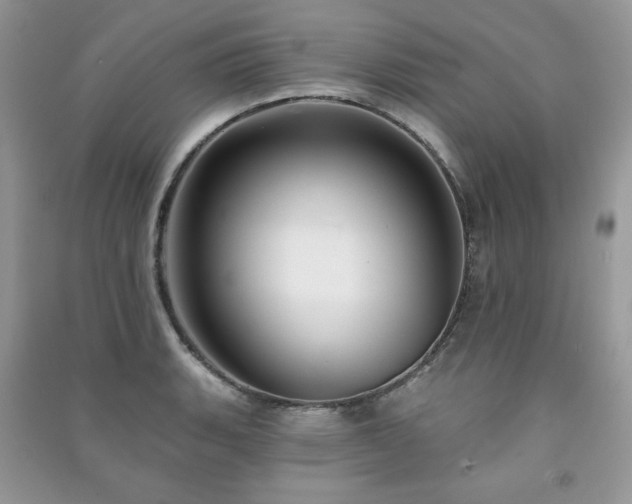 X0000091211135200708091342