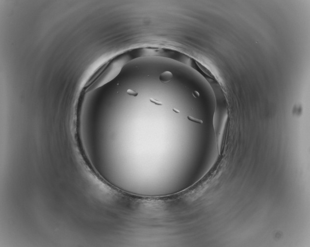 X0000091211136200708091342