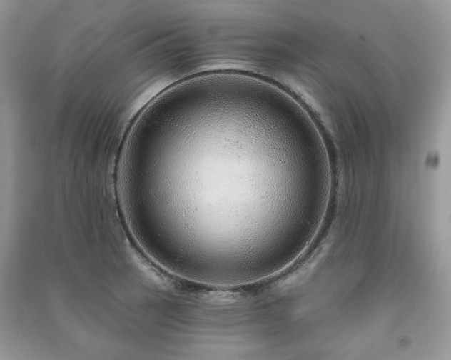X0000091211137200708091342