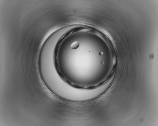 X0000091211138200708091342