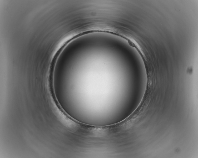 X0000091211139200708091342