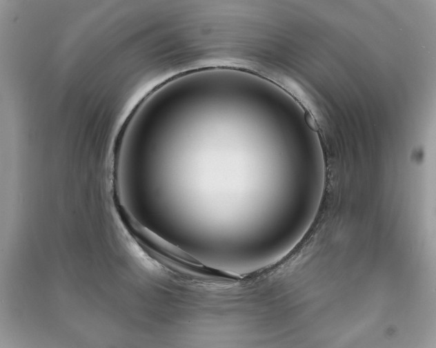 X0000091211140200708091342