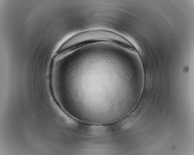 X0000091211142200708091342