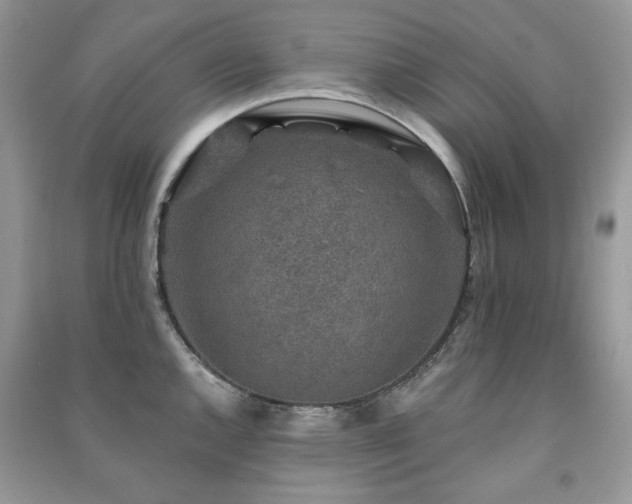X0000091211144200708091342