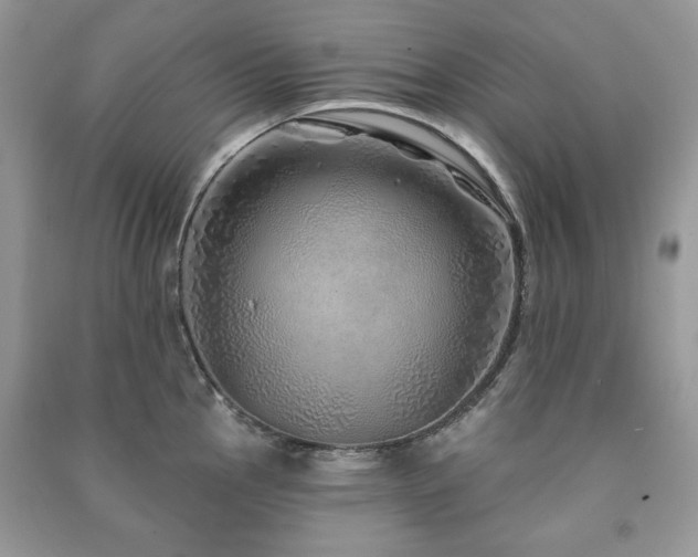 X0000091211145200708091342