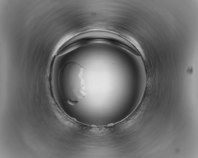 X0000091211146200708091342