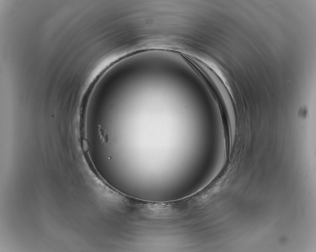 X0000091211147200708091342