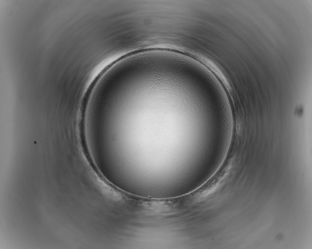 X0000091211149200708091342