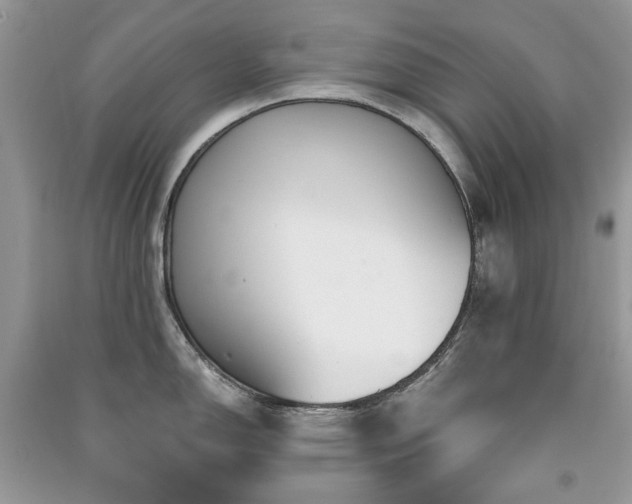 X0000091211150200708091342
