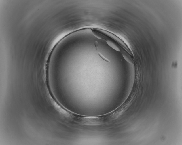X0000091211151200708091342