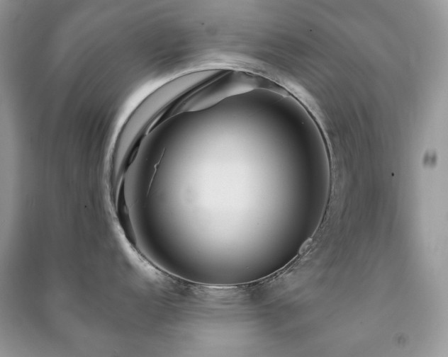 X0000091211152200708091342