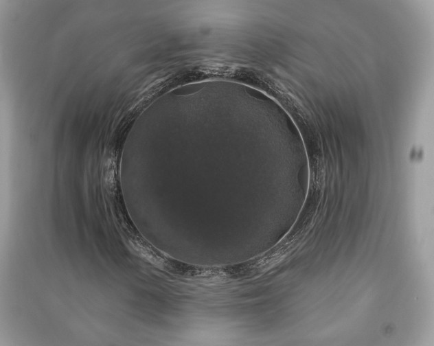 X0000091211154200708091341