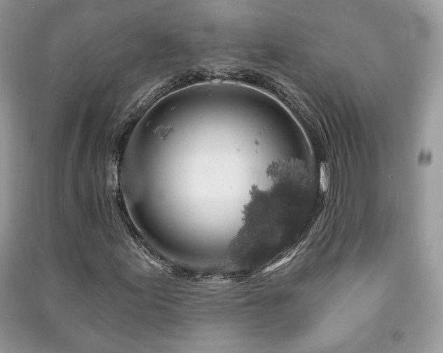 X0000091211155200708091341