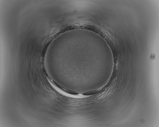 X0000091211156200708091341