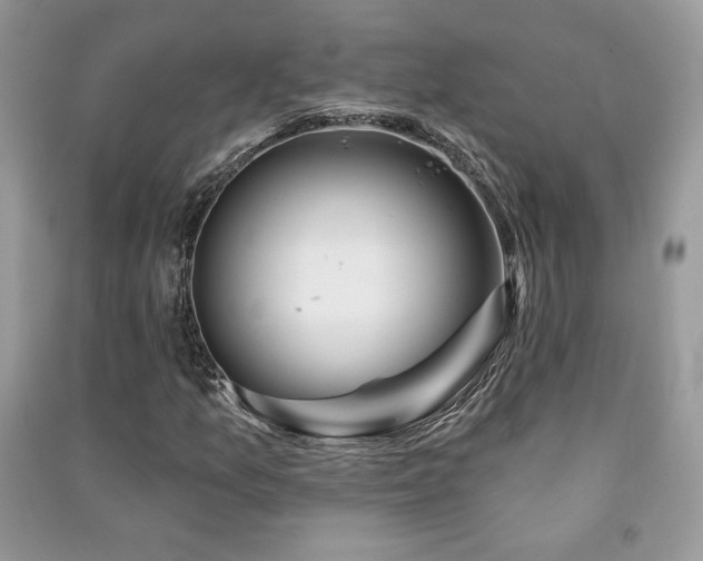 X0000091211157200708091341