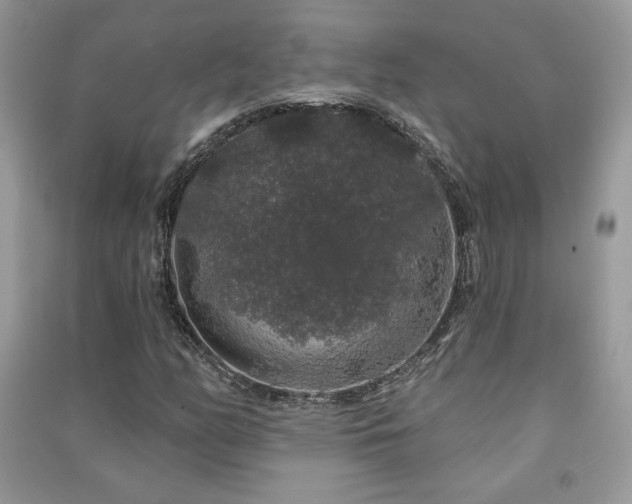 X0000091211158200708091341