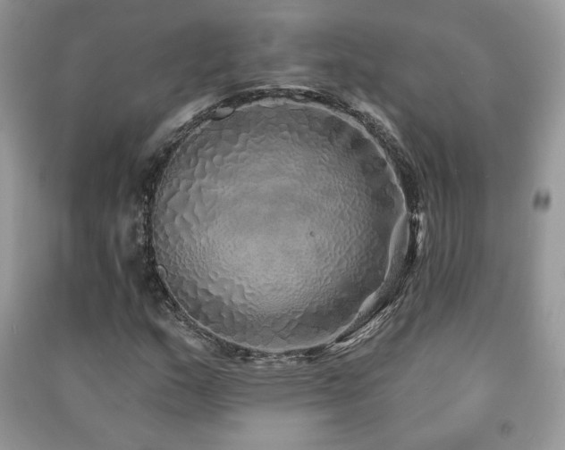 X0000091211159200708091341