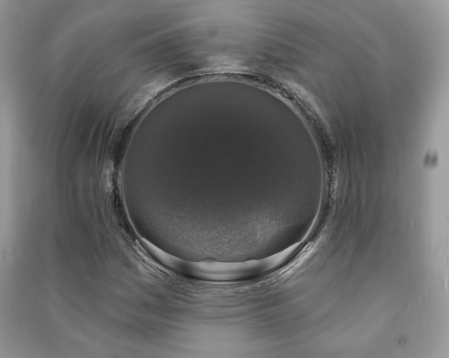 X0000091211161200708091341