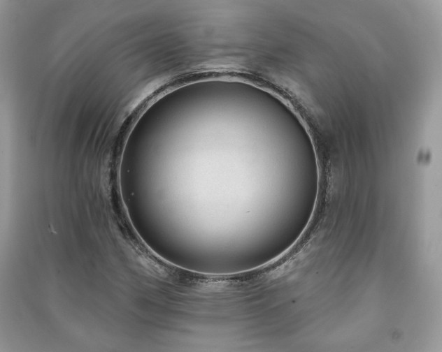 X0000091211162200708091341