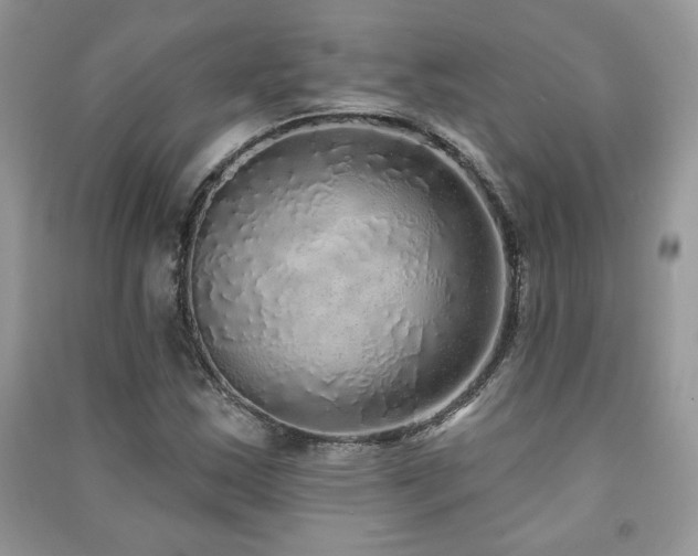 X0000091211163200708091341