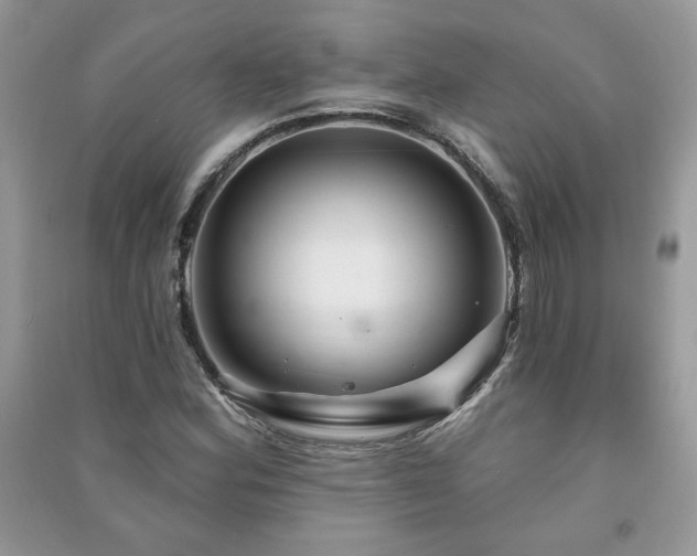 X0000091211164200708091341