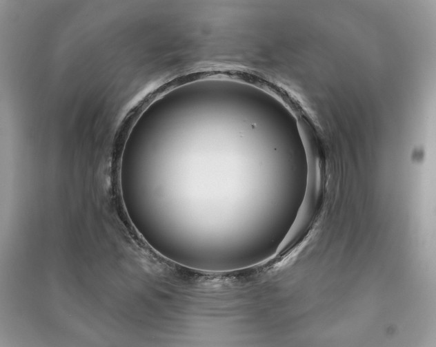 X0000091211165200708091341