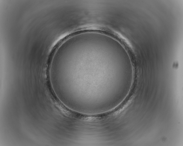 X0000091211166200708091341