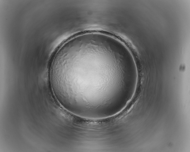 X0000091211167200708091341