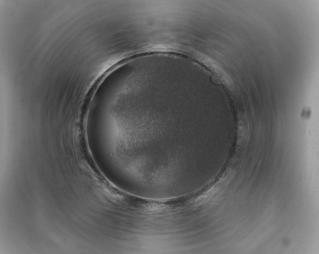 X0000091211170200708091341