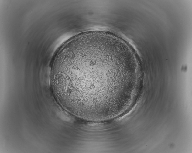 X0000091211171200708091341