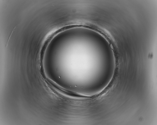 X0000091211172200708091341