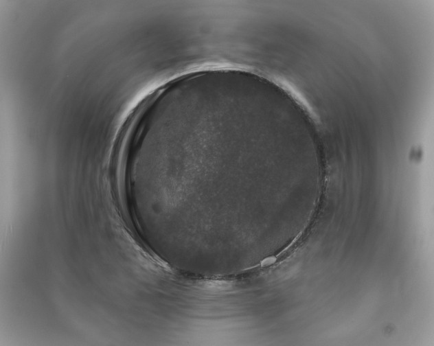 X0000091211173200708091341