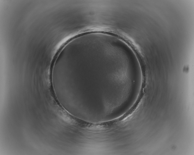 X0000091211174200708091341