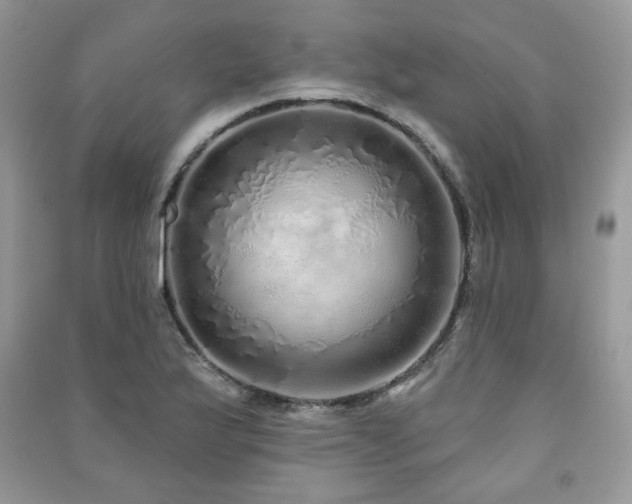 X0000091211175200708091341