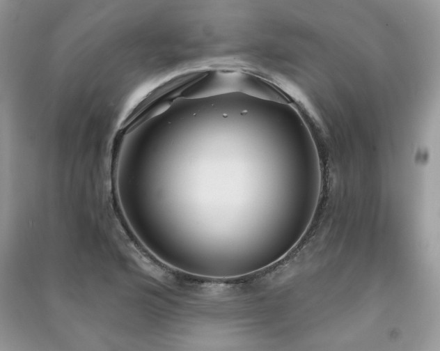 X0000091211176200708091341