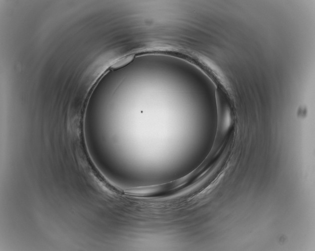 X0000091211177200708091341