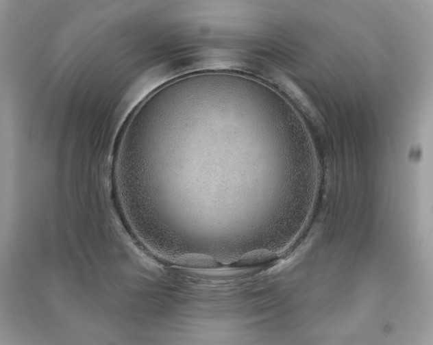 X0000091211178200708091341