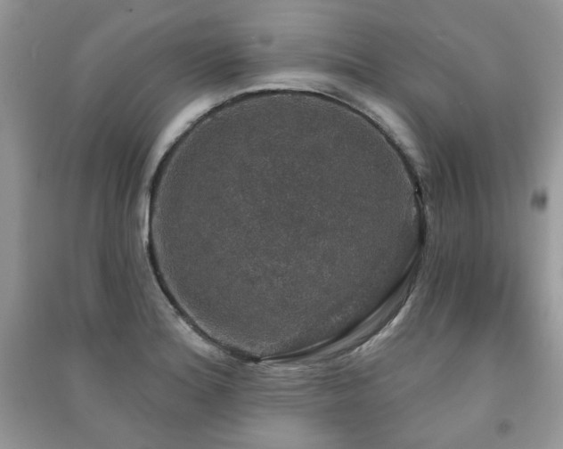 X0000091211180200708091341
