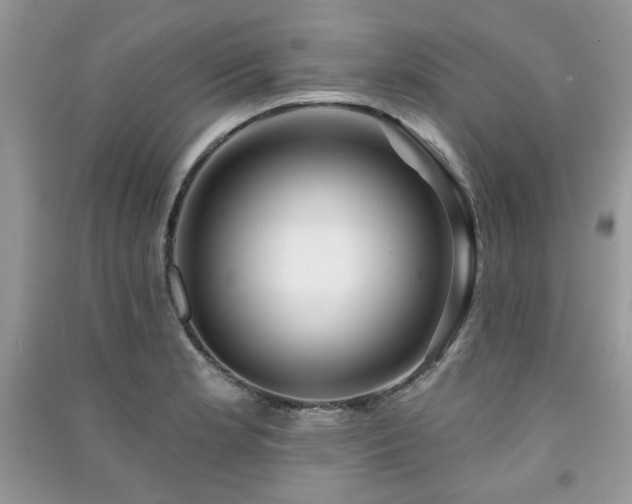 X0000091211181200708091341