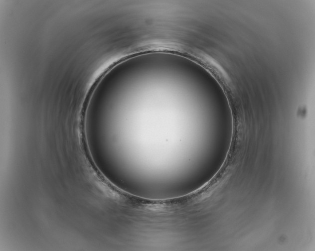 X0000091211182200708091341