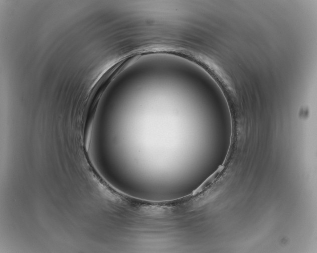 X0000091211185200708091341