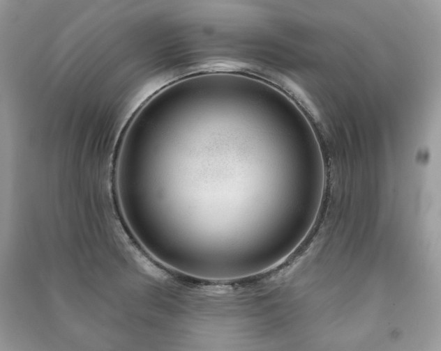 X0000091211186200708091341