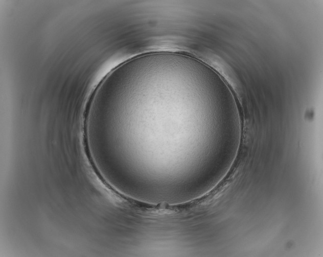 X0000091211187200708091341