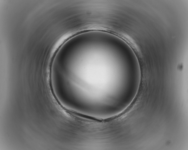 X0000091211188200708091341
