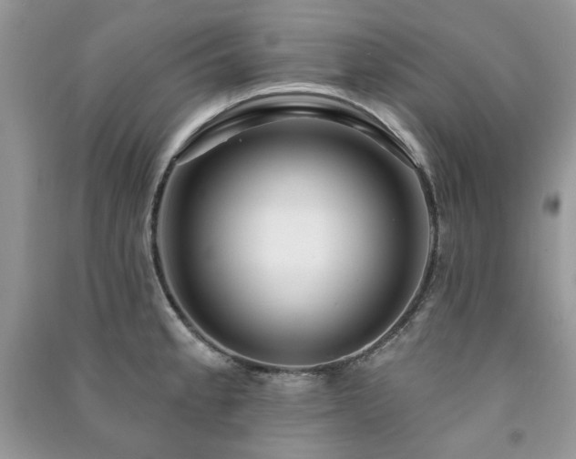 X0000091211189200708091341