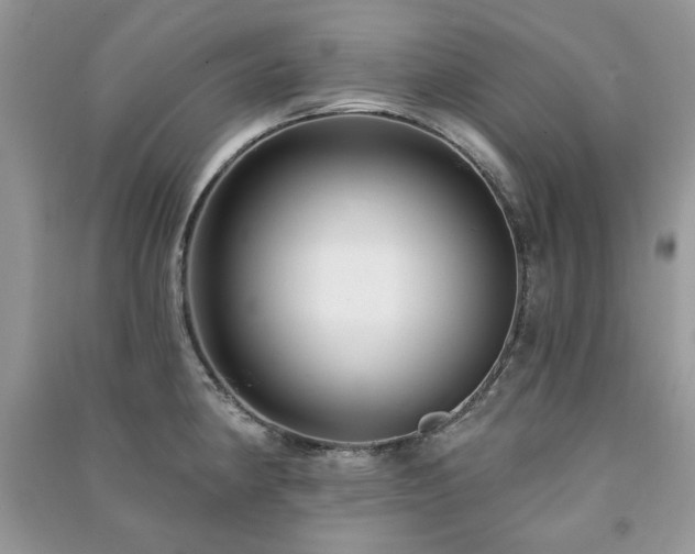 X0000091211190200708091341
