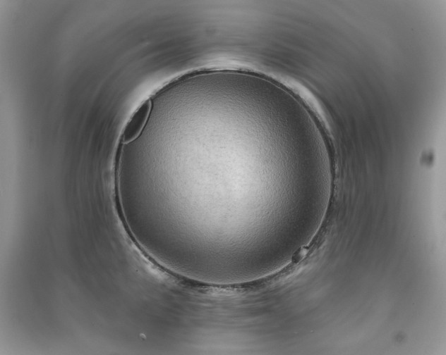 X0000091211191200708091341