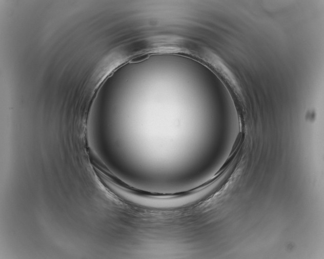 X0000091211193200708091341